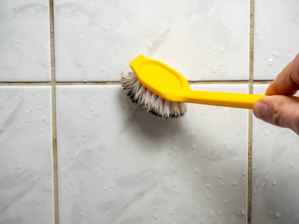 Best Fast Mold Removal  in West Pensacola, FL