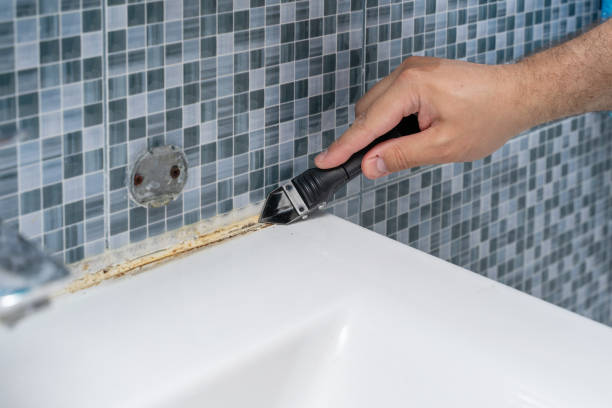 Best Mold Testing  in West Pensacola, FL
