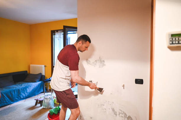 Best Black Mold Removal  in West Pensacola, FL